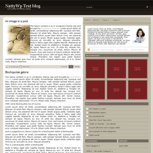 Aesma Pro Theme