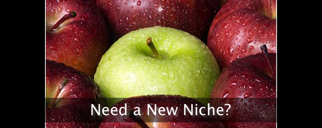 Finding a New Niche & Getting a Feel for the Competition