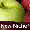 Finding a New Niche & Getting a Feel for the Competition