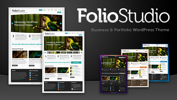 FolioStudio WordPress Theme